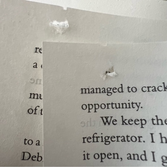 Freida McFadden 'Dear Debbie' Book - Picture 7 of 7